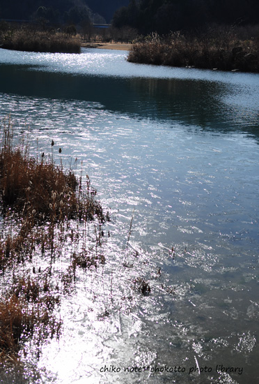 c0165003_2350591.jpg
