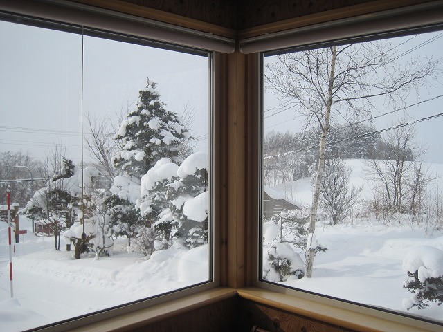 f0202703_23581031.jpg