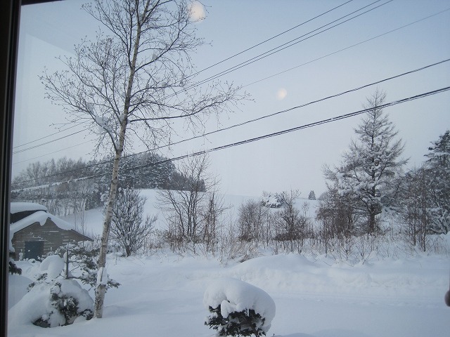 f0202703_23582933.jpg