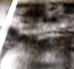 e0103408_142691.jpg
