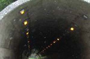 e0103408_155946.jpg