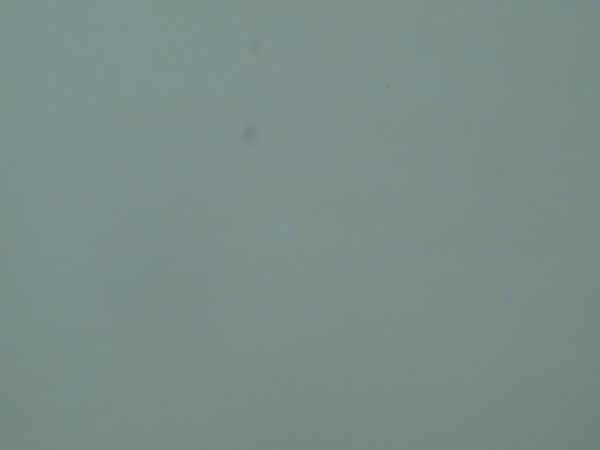 c0164709_2022512.jpg