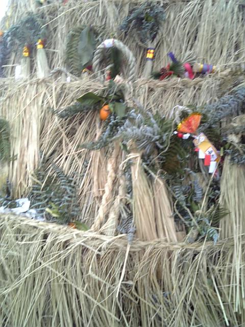 f0231709_1852749.jpg