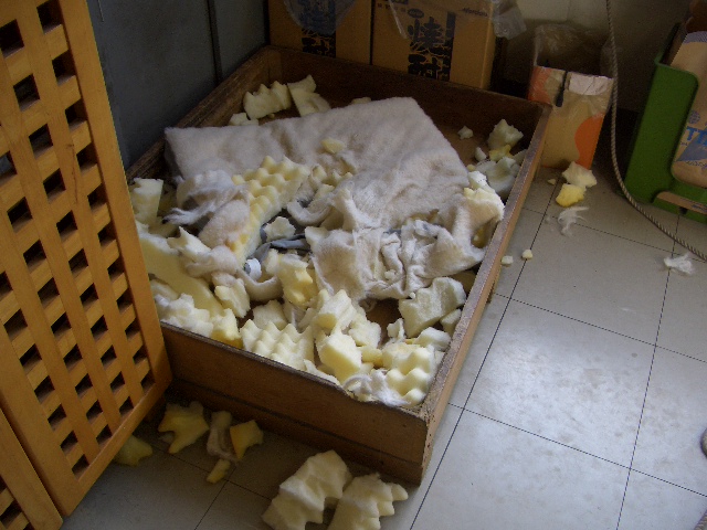 c0116610_13402720.jpg