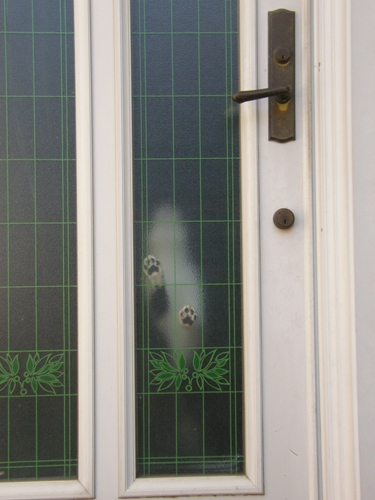 c0158916_2148238.jpg