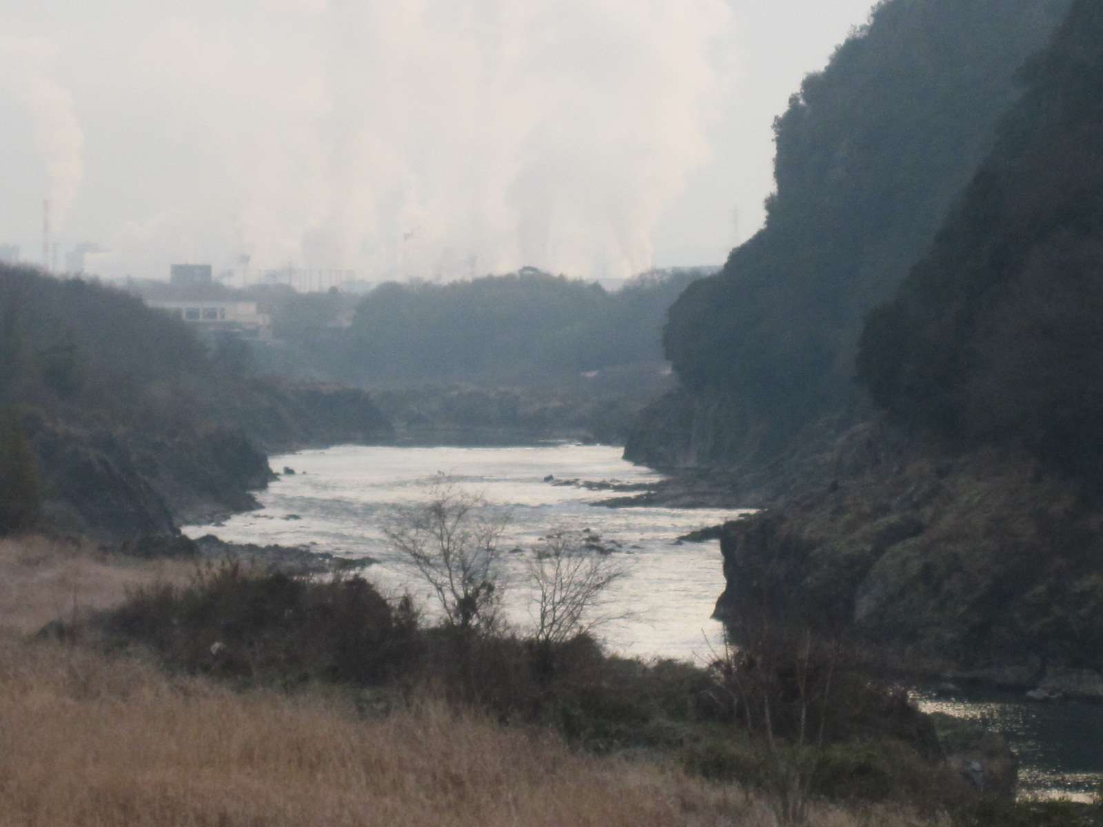 c0225420_11392670.jpg