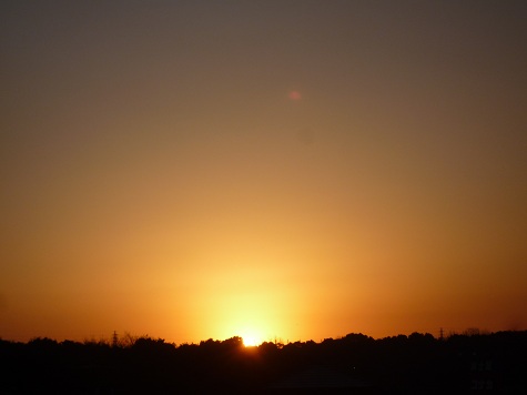 f0150620_834347.jpg
