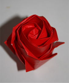 a0188822_1223164.jpg