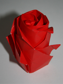 a0188822_122856.jpg