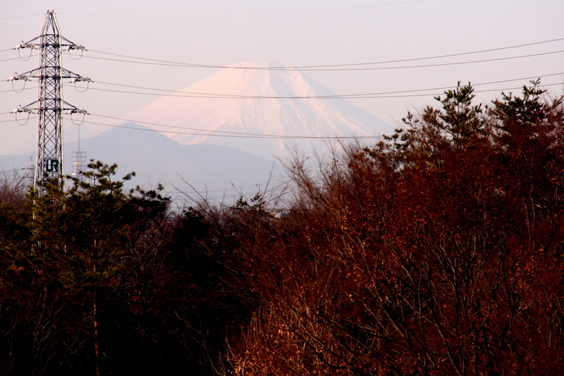 b0165522_948545.jpg