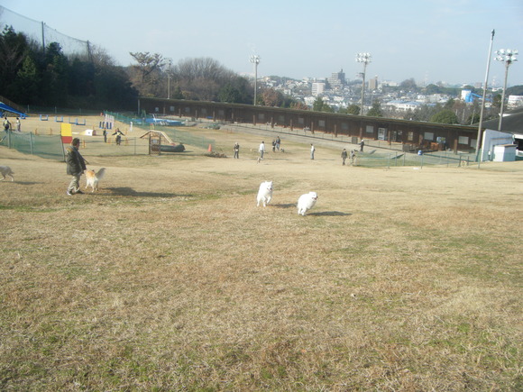 e0024126_22231364.jpg