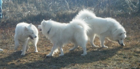 e0024126_22243763.jpg