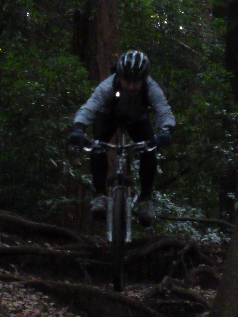 e0002927_1716510.jpg