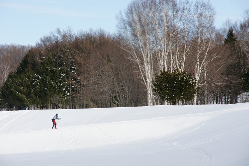 f0046128_8151549.jpg