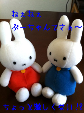 a0190132_23272577.jpg