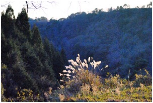 d0017632_2248598.jpg