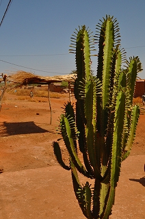 f0204737_4104268.jpg