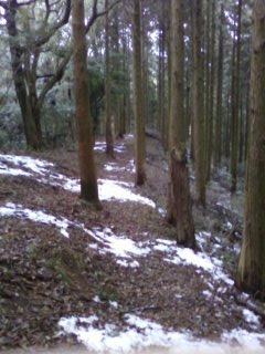c0077338_21485923.jpg