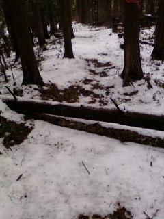 c0077338_21491620.jpg
