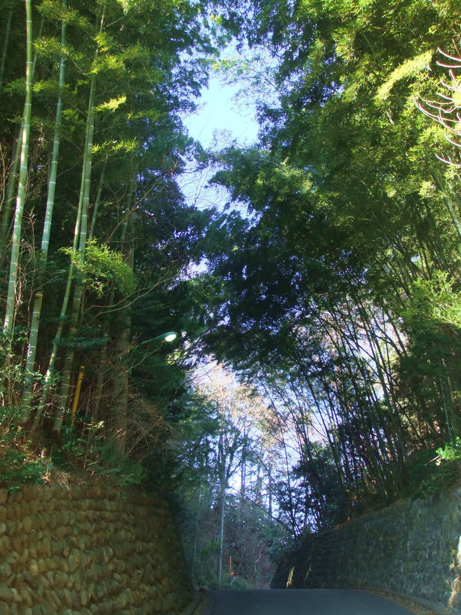 e0206242_1419440.jpg