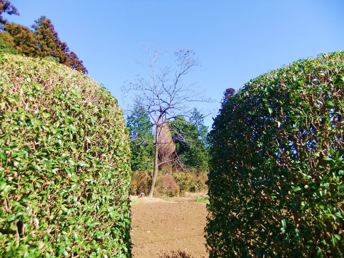 e0206242_14195550.jpg