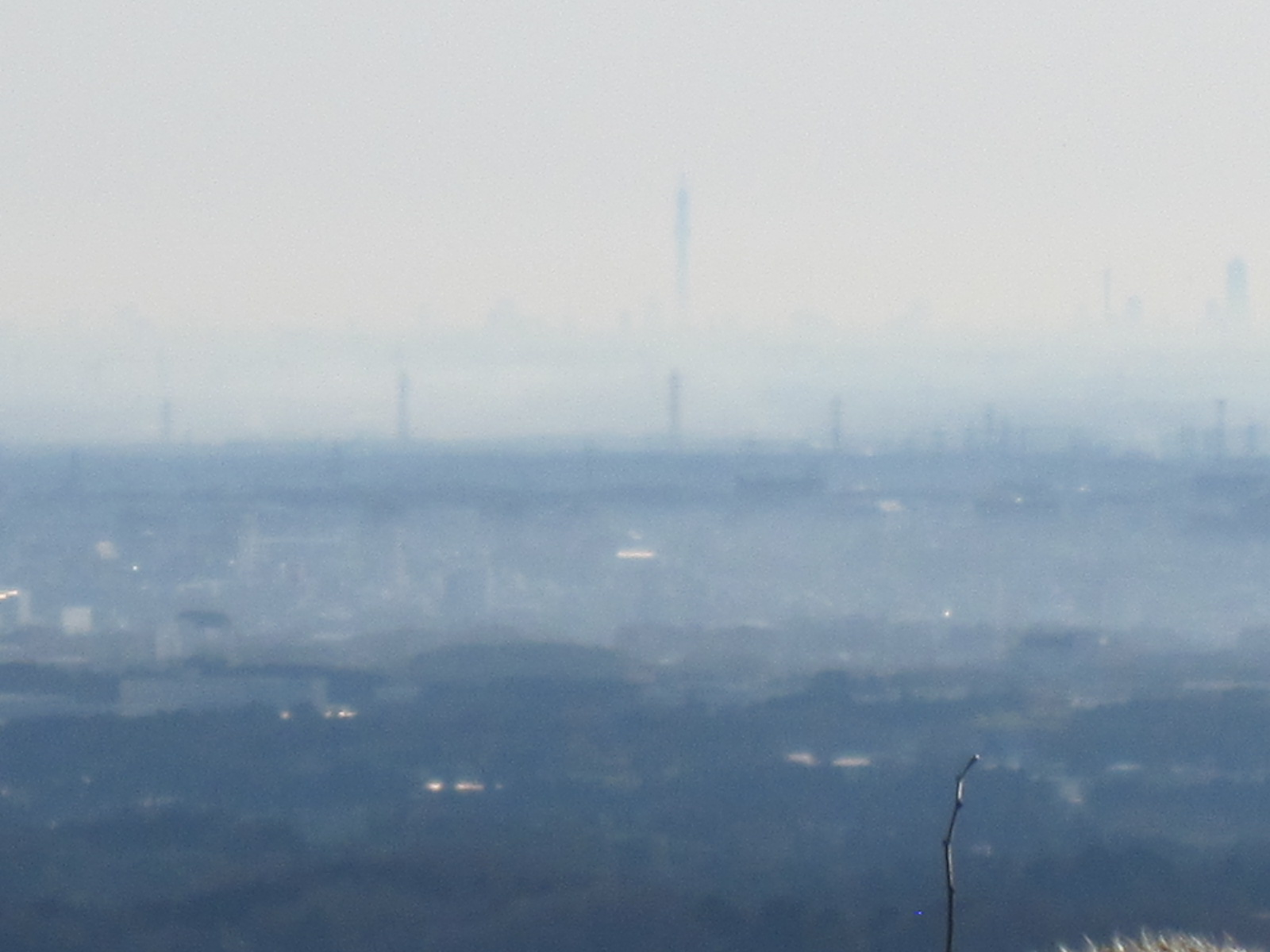 d0124543_239924.jpg