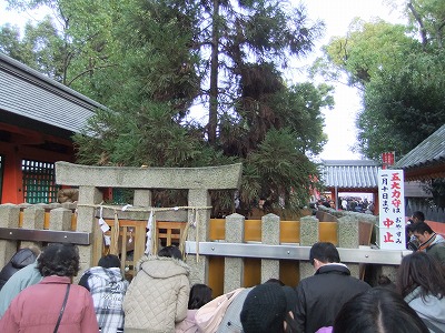 e0173645_1055249.jpg