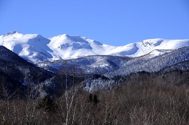 b0122448_1016695.jpg