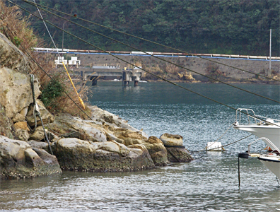 f0214649_946919.jpg