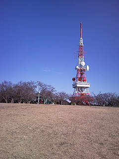 a0157160_20251410.jpg