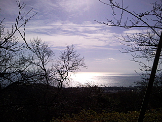 a0157160_2035391.jpg