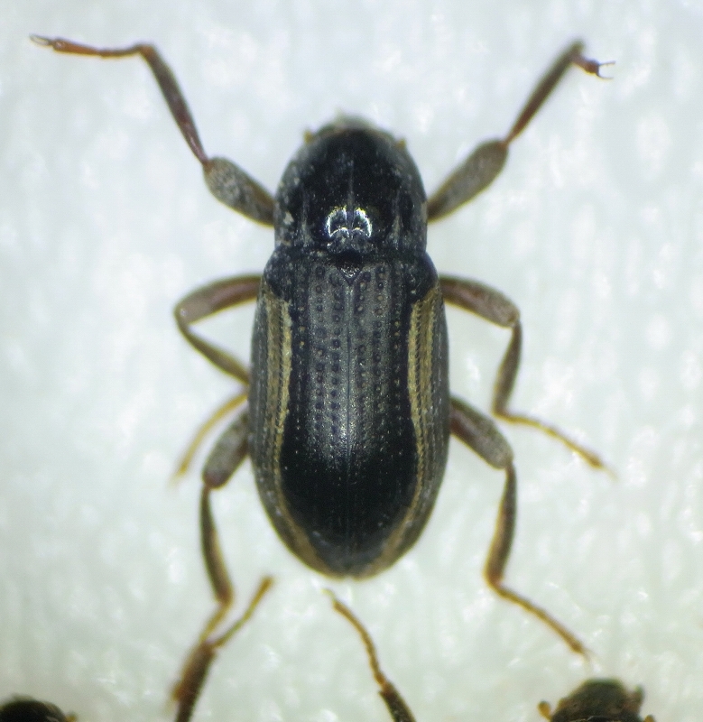 c0142963_0474429.jpg