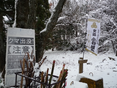 b0141664_2352413.jpg