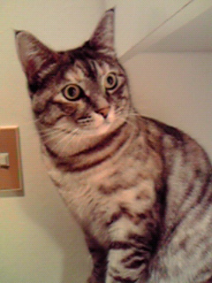 a0123465_0263747.jpg