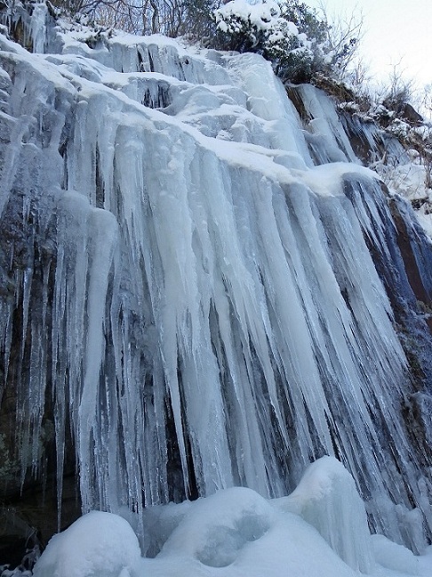 f0016066_11191298.jpg