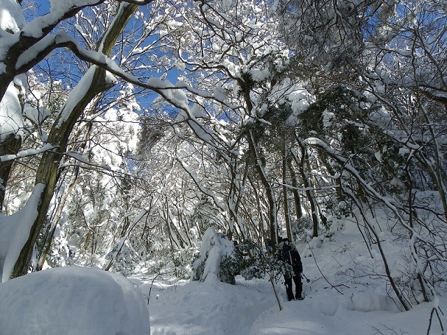 f0016066_11202187.jpg