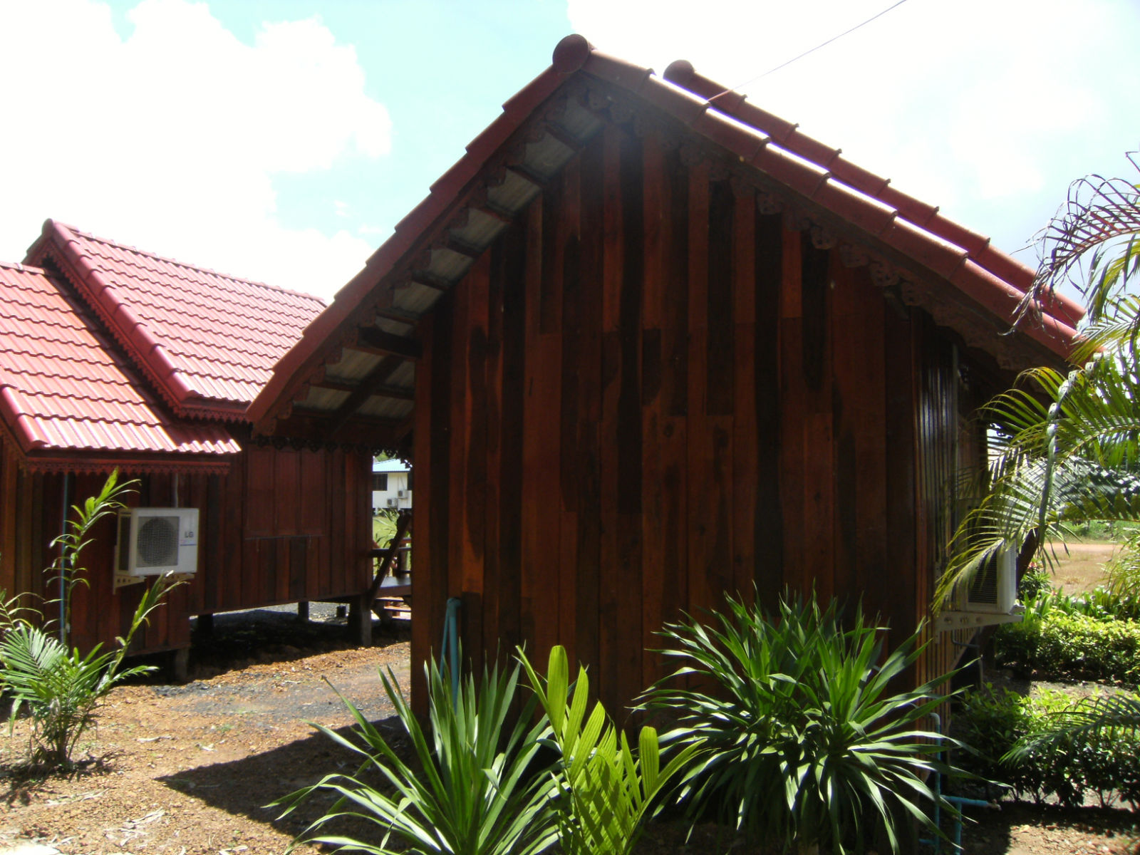 d0144077_3573525.jpg