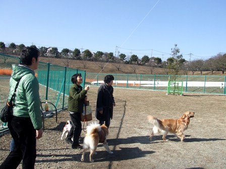 f0230380_19214295.jpg