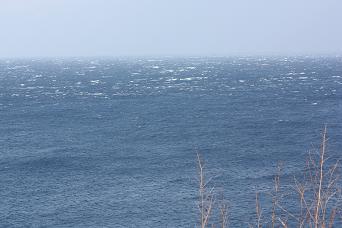 c0204385_18514290.jpg