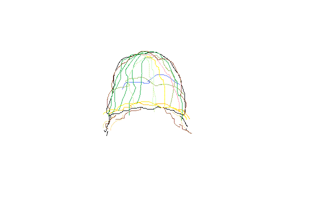 a0145288_23272732.gif