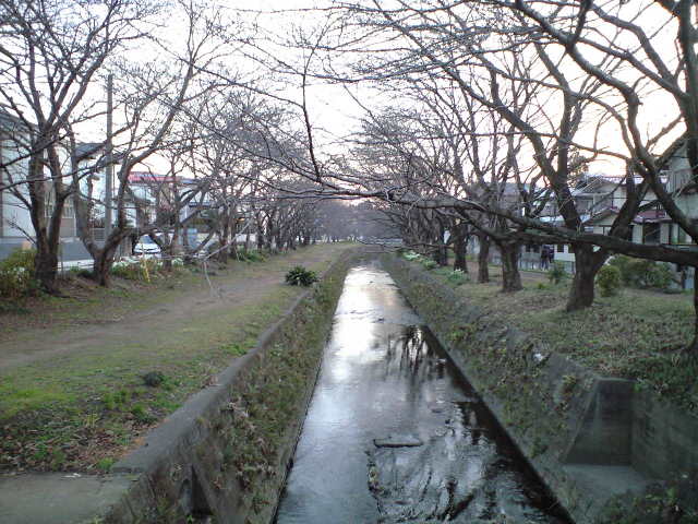 b0006289_21591142.jpg