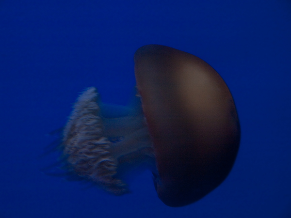 b0075797_10283165.jpg