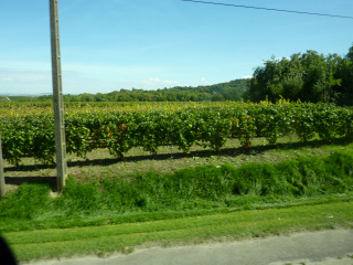 c0077697_16394688.jpg