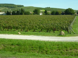 c0077697_16543385.jpg
