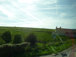 c0077697_17401067.jpg