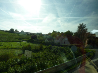 c0077697_1744309.jpg