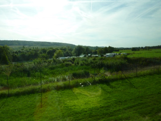 c0077697_17484555.jpg