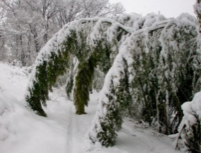 c0151898_14524352.jpg