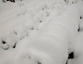 c0151898_14525464.jpg