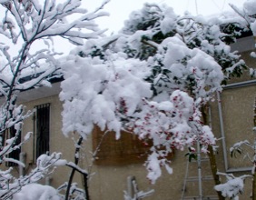 c0151898_14531254.jpg